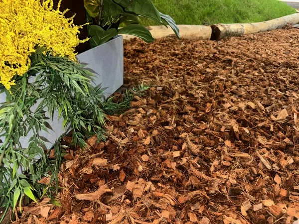 Kokos bodembedekker 180M²